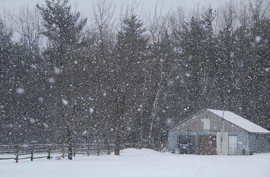 Winter on the Farm Photograph by Davandra Cribbie