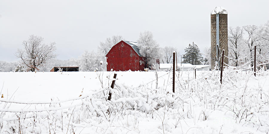 Winter on the Farm Photograph by Larry Ricker