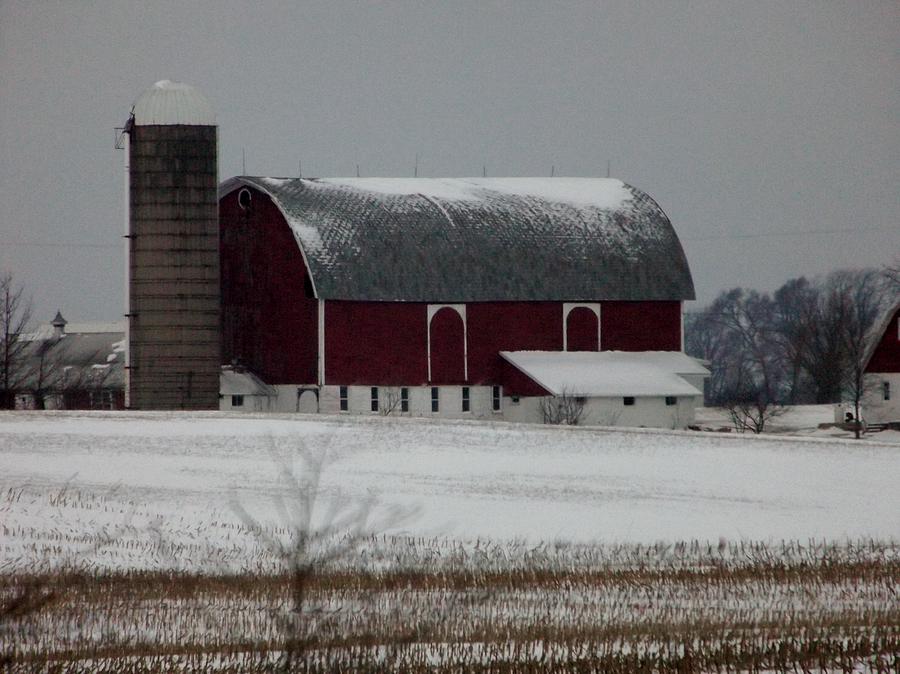 Winter On The Farm Photograph