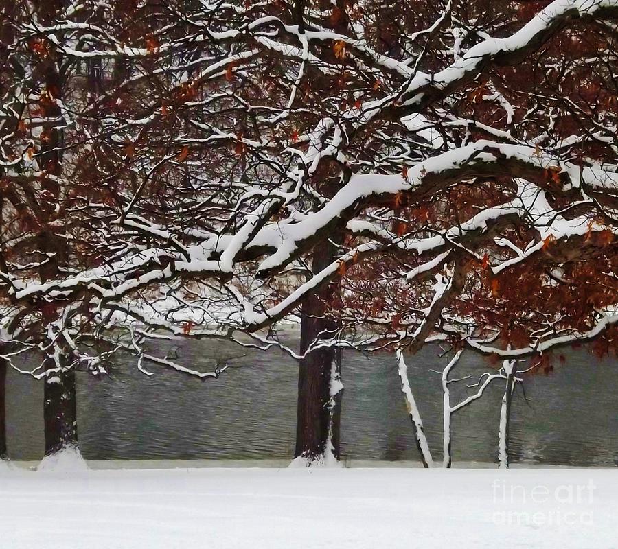 Winter on the River Photograph by Brigitte Emme