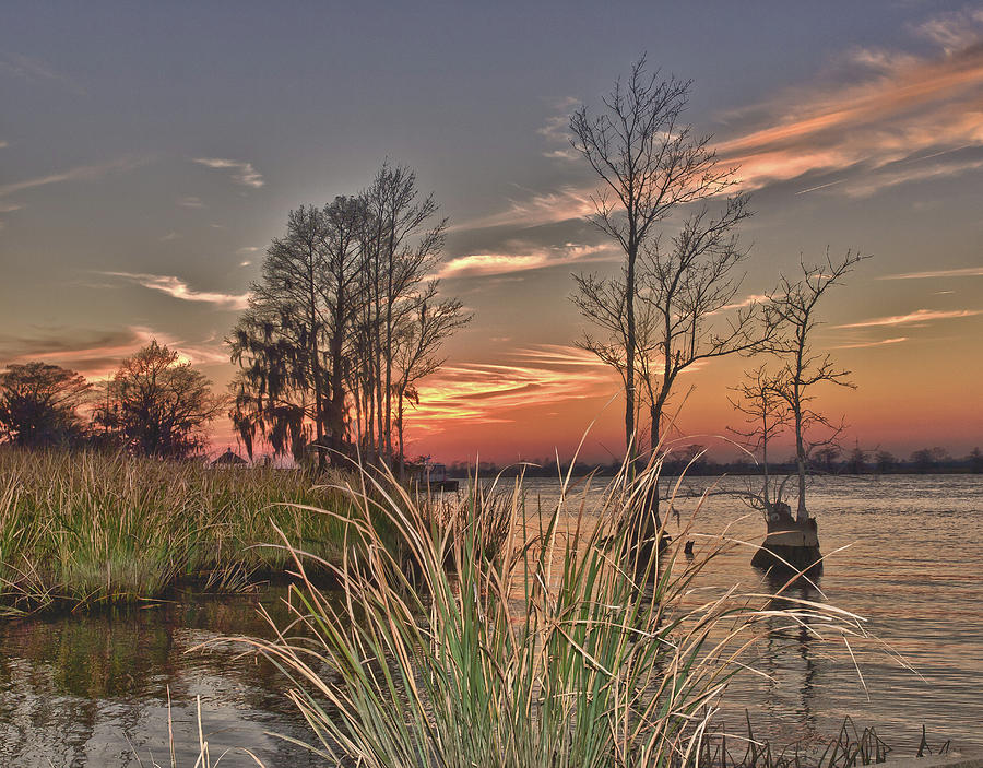 Winter on the Waccamaw River Photograph by Mike Covington