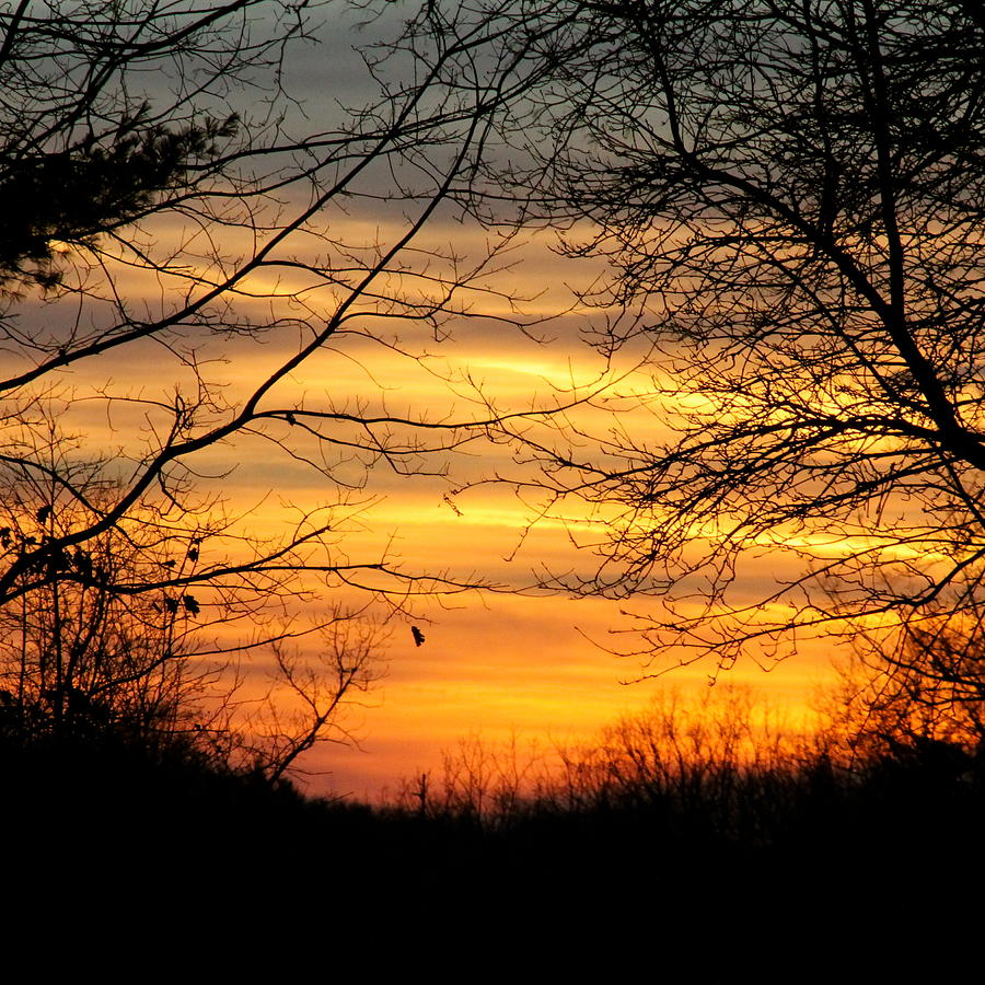 Sunset Photograph - Winter Orange  by Justin Connor
