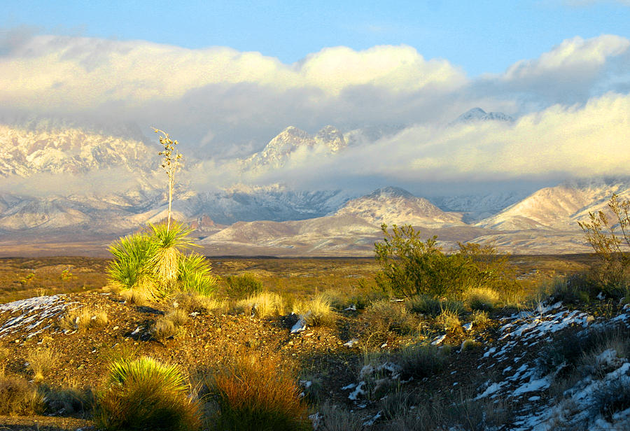 New Mexico Photograph - Winter in the Organ Mountains by Jack Pumphrey