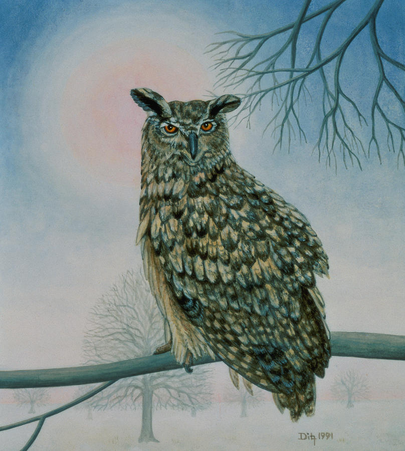 Owl Painting - Winter Owl by Ditz
