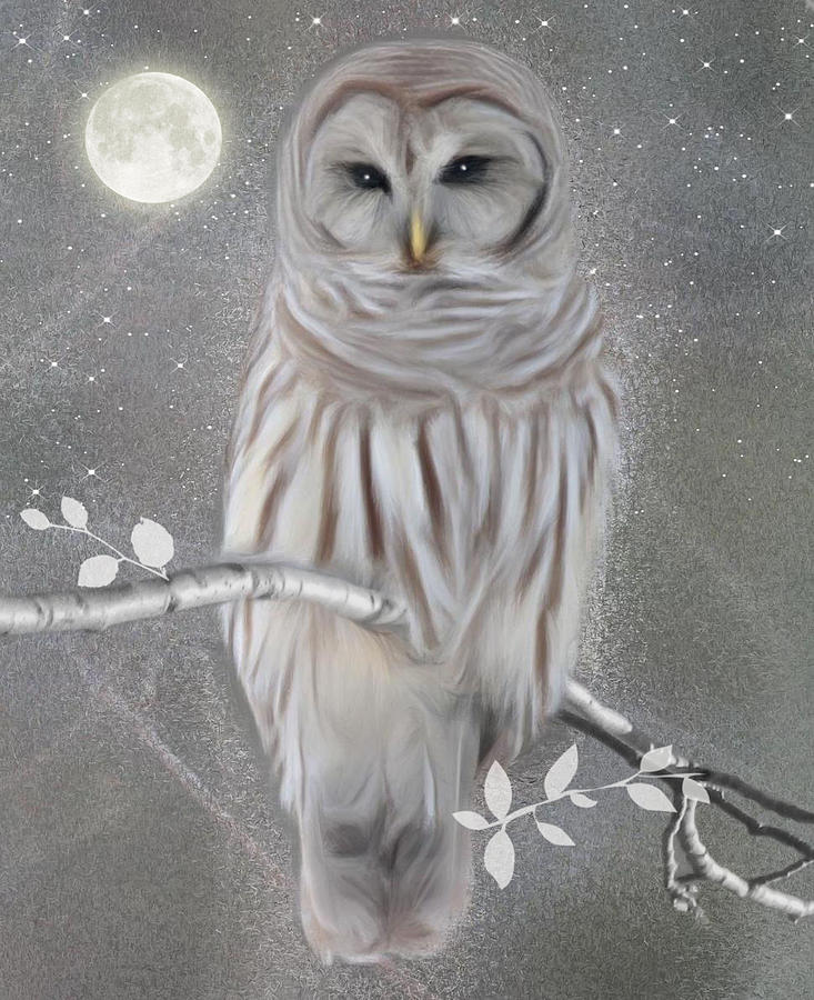 Winter Owl Digital Art by Nina Bradica