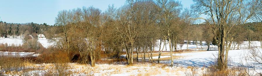 Winter Pasture Photograph by Constantine Gregory