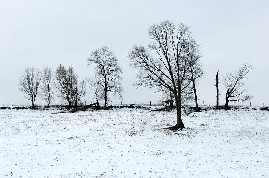 University Of Connecticut Photograph - Winter Pasture by John W. Bova