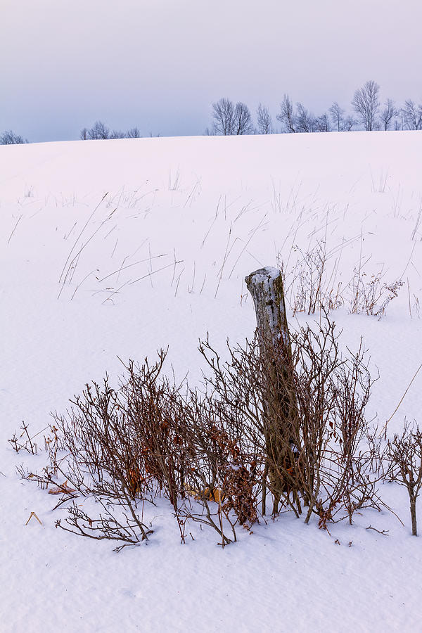Winter Pastures Photograph by Jeff Sinon