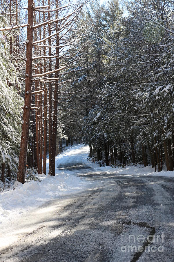 Winter Path  Photograph by Neal Eslinger