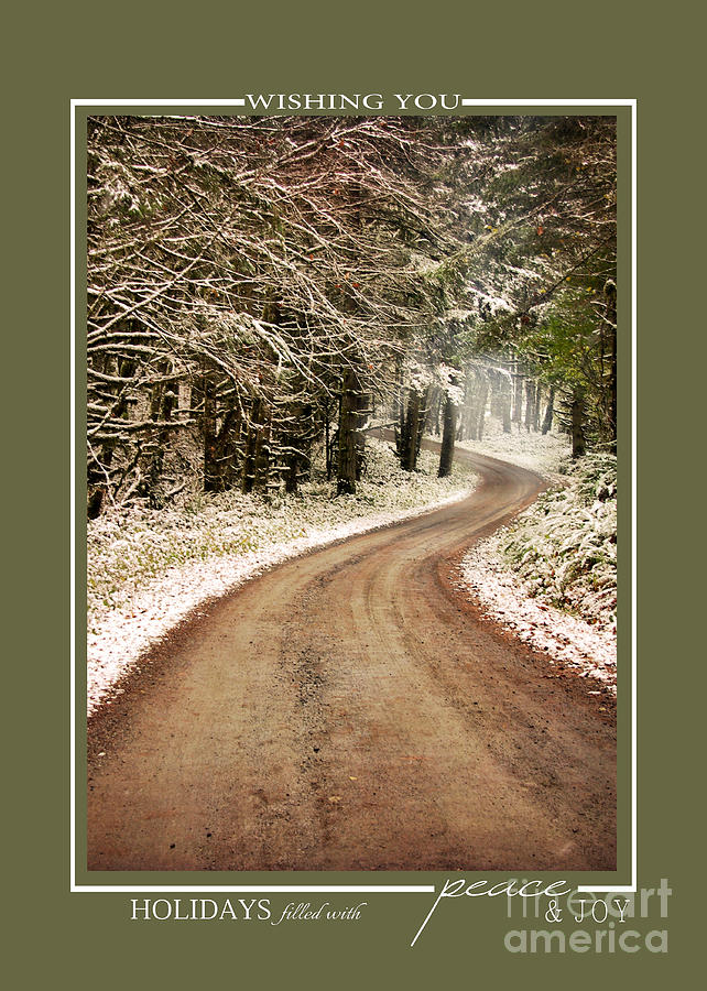 Winter Path Scenic Landscape Christmas Cards Photograph by Jai Johnson