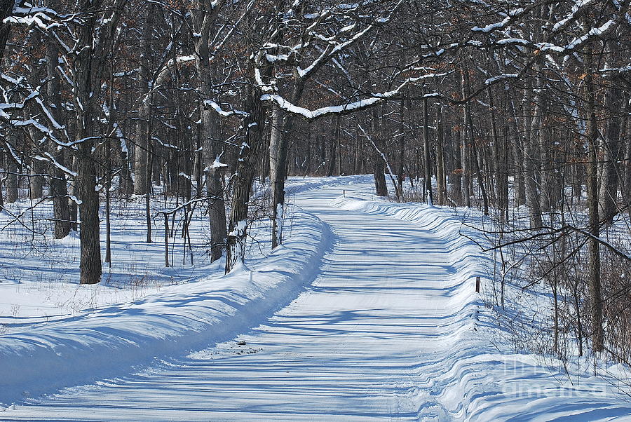 Winter Pathway Photograph by Bob Marker