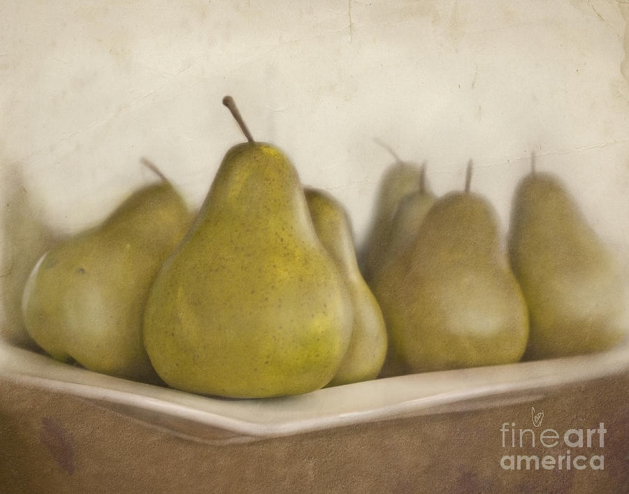 Pear Photograph - Winter pears by Cindy Garber Iverson