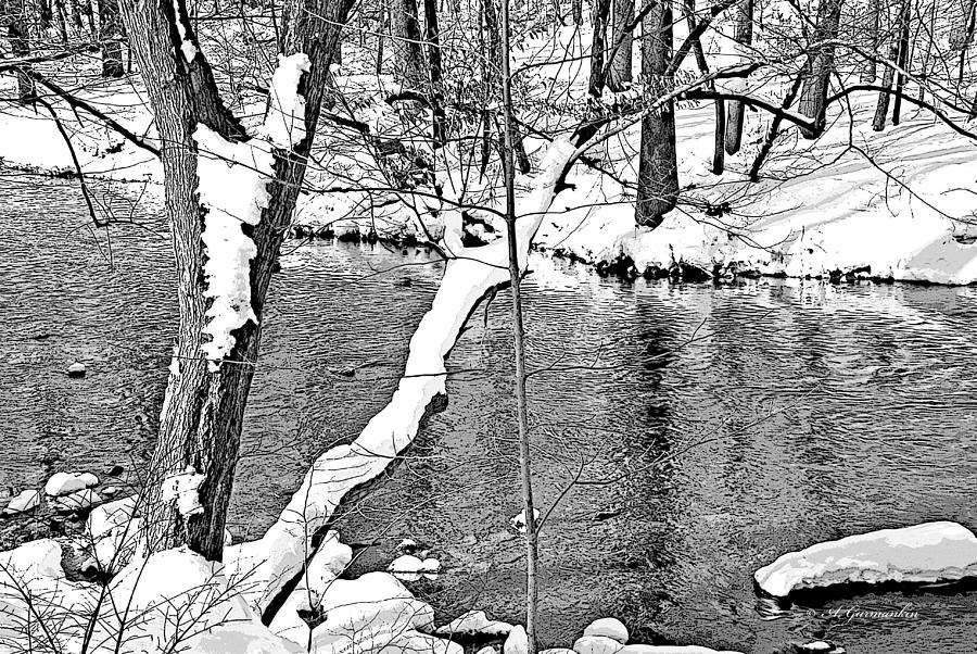 Winter Pennsylvania Woodland Stream Photograph by A Macarthur Gurmankin
