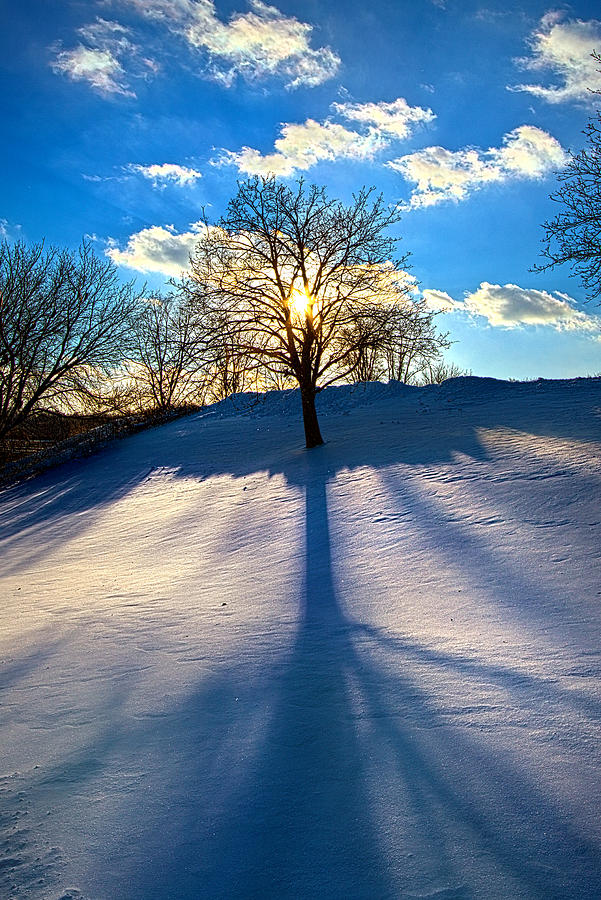 Winter Photograph by Phil Koch