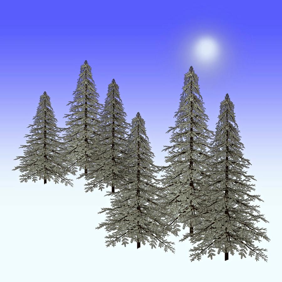 Winter Pines Ice and Snow Painting by David Dehner