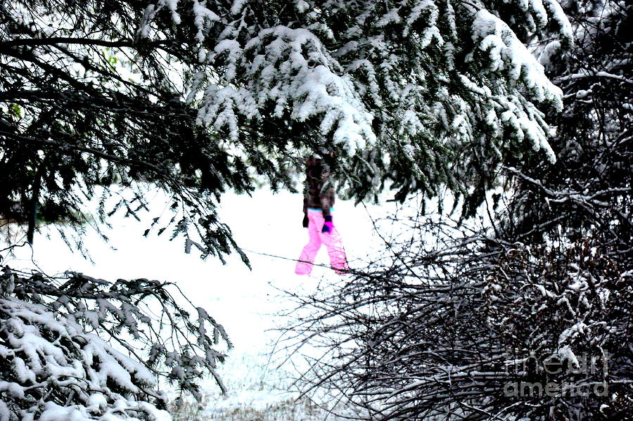 Winter Pink  2 Photograph by Tatyana Searcy