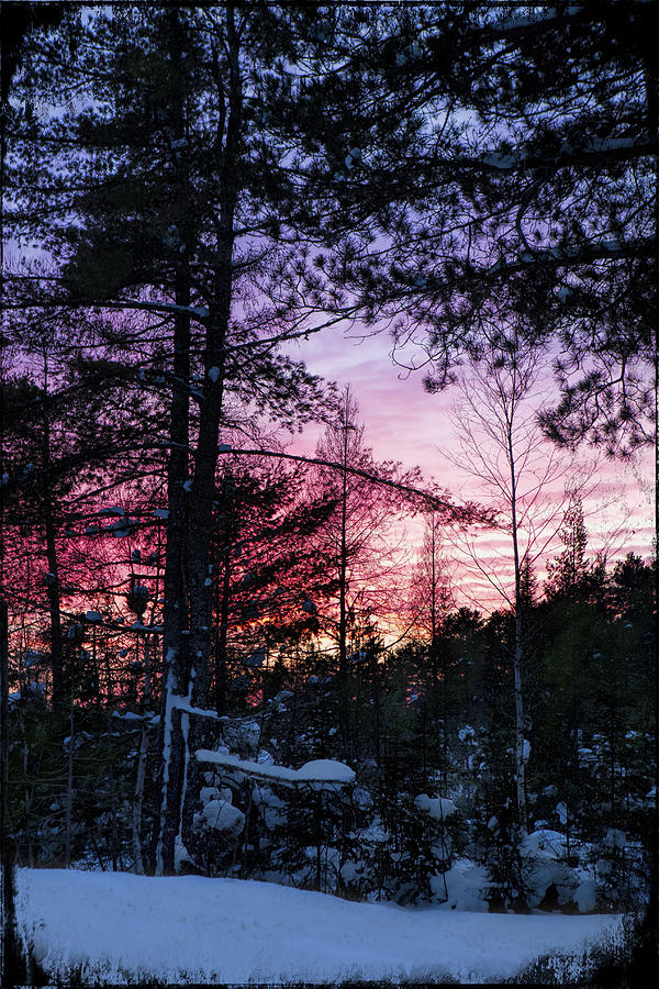 Sunset Photograph - Winter Pink Again by Evie Carrier