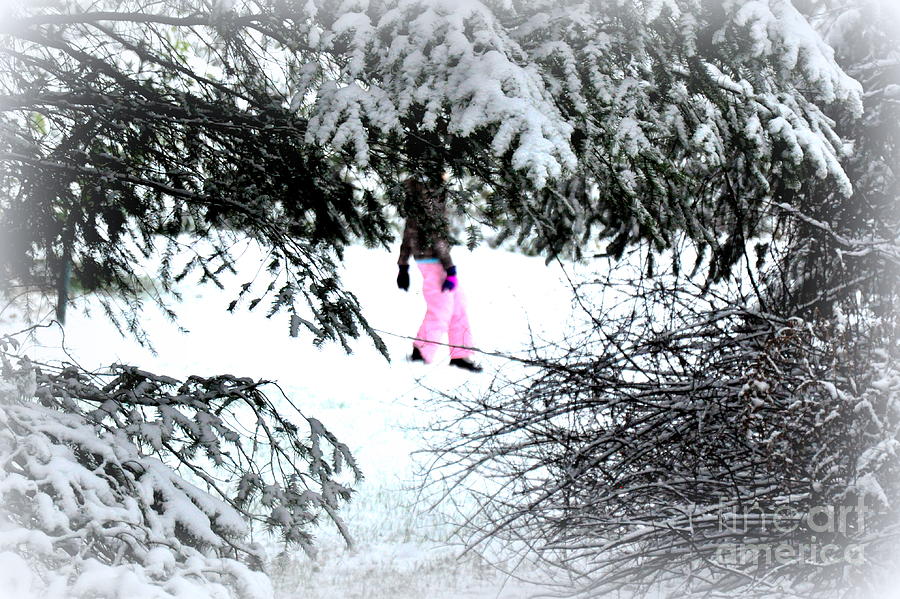 Winter Pink Photograph by Tatyana Searcy