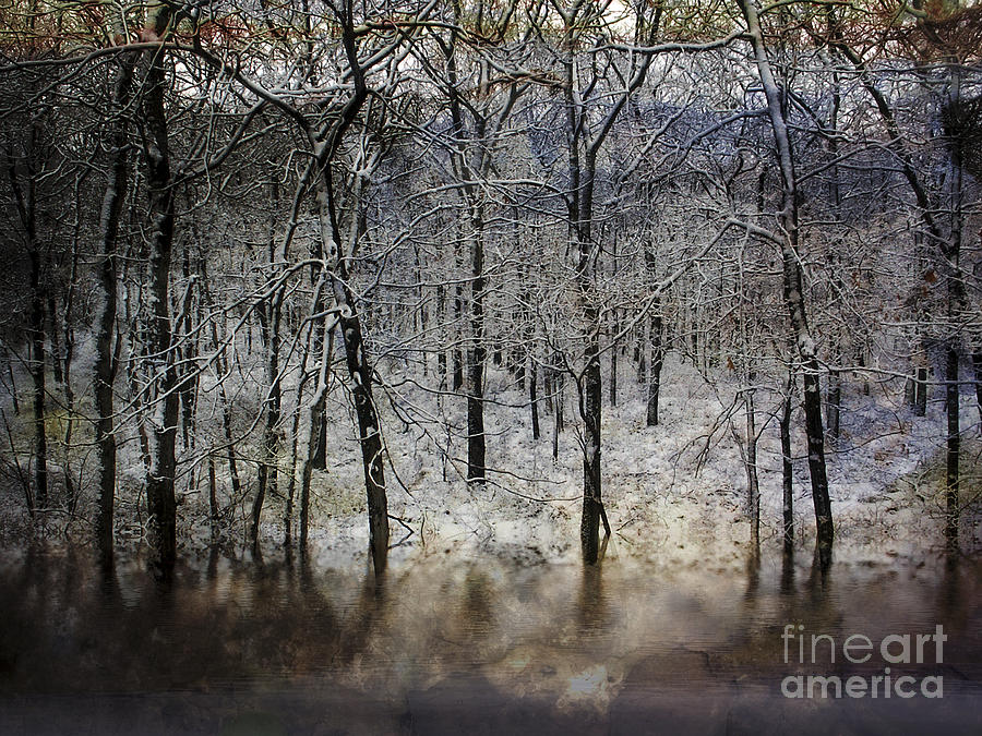 Winter Pond Frozen Photograph by Dee Flouton