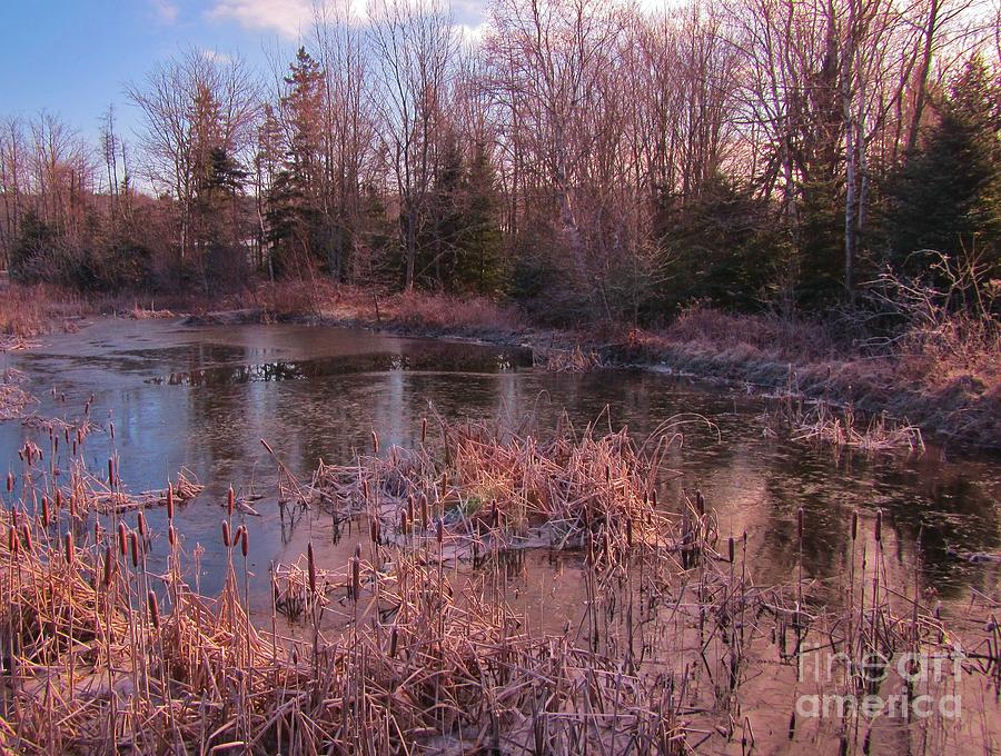 Nature Photograph - Winter Pond Landscape by John Malone