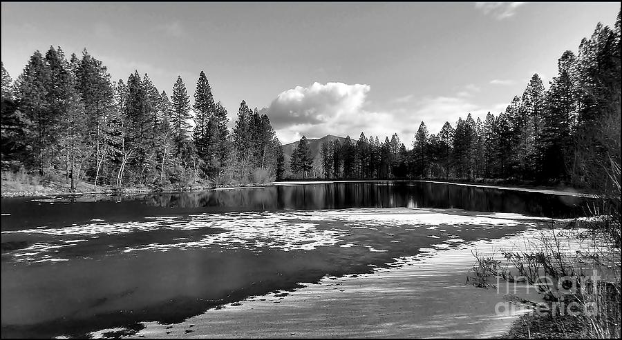 Winter Pond Photograph by Julia Hassett