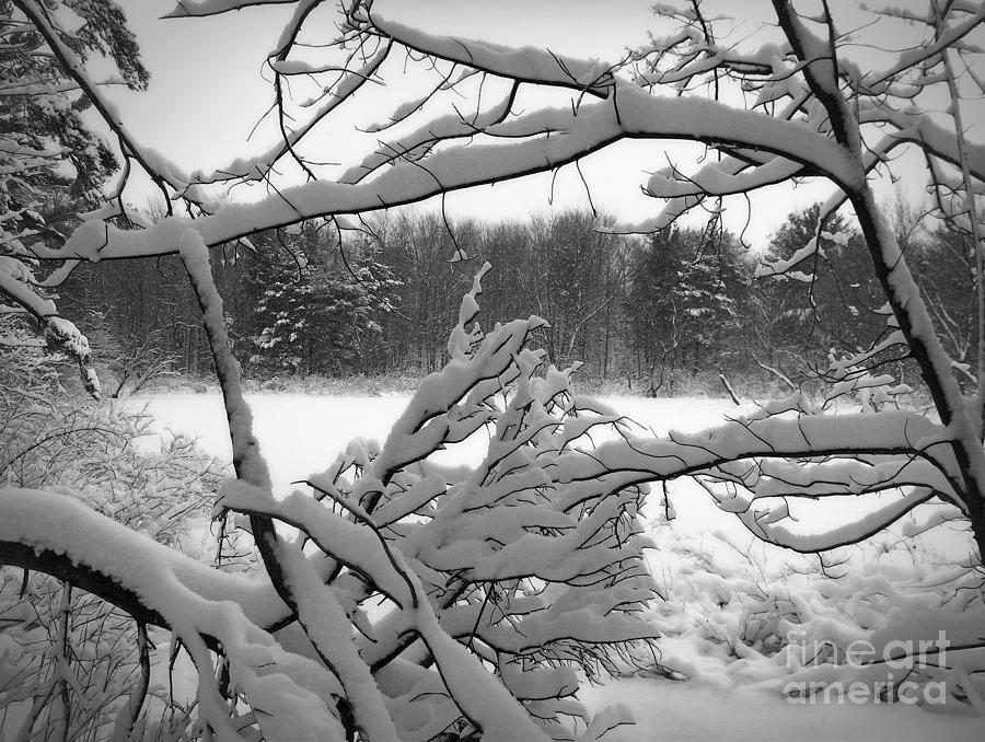 Winter Pond Photograph by Kathi Mirto
