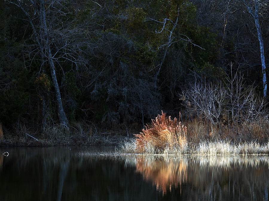 Winter Pond Photograph