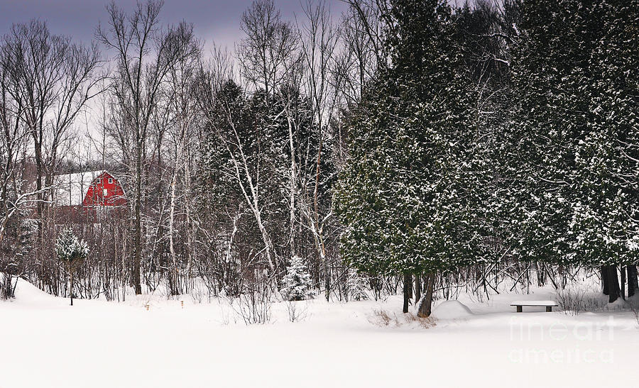 Winter Postcard Photograph by Gwen Gibson