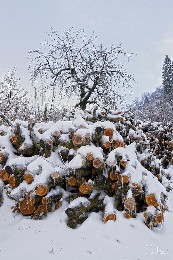 Winter pyramid Photograph by Raffaella Lunelli