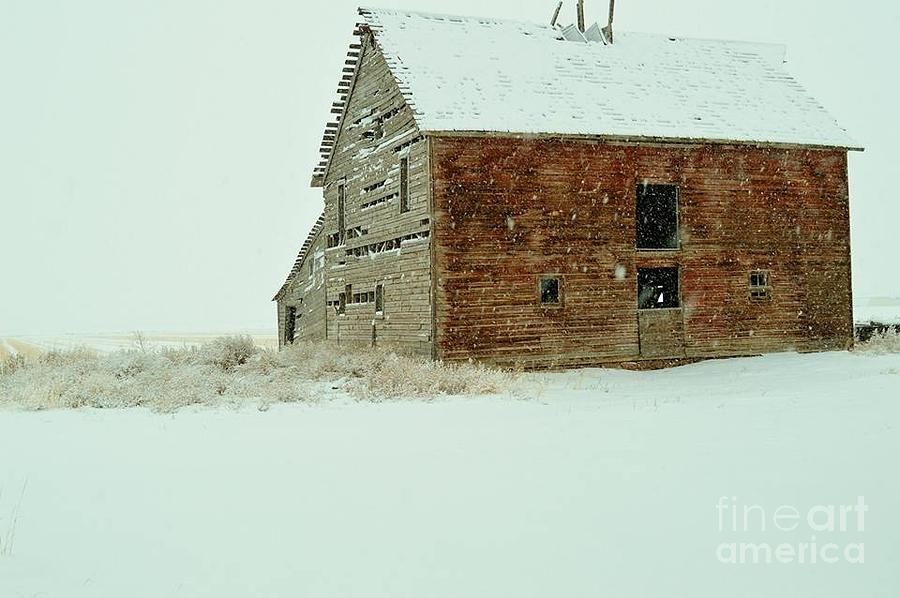 Barn Photograph - Winter Quarters by Benjamin Cornett