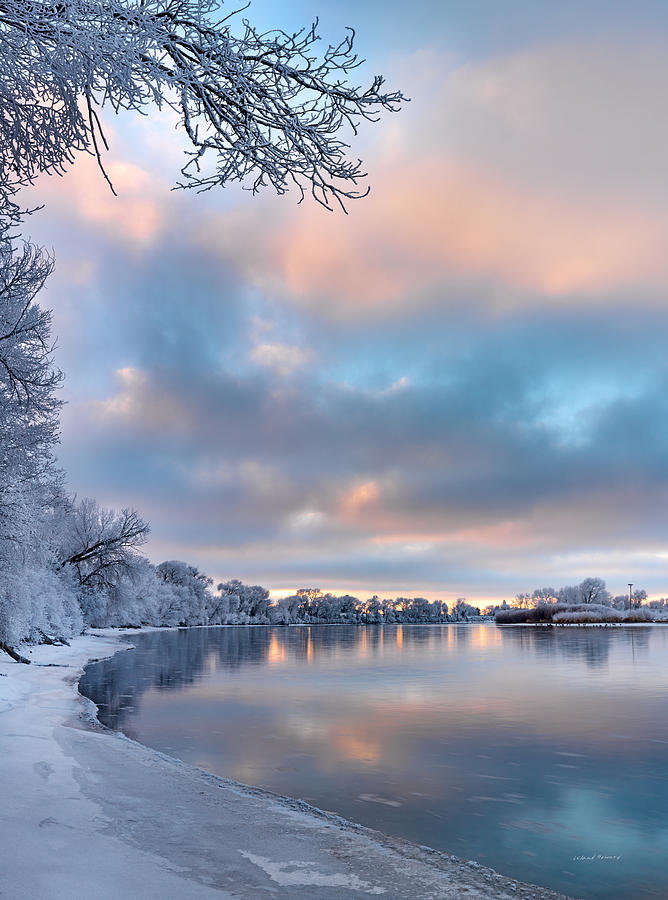 Winter Quiet Photograph by Leland D Howard