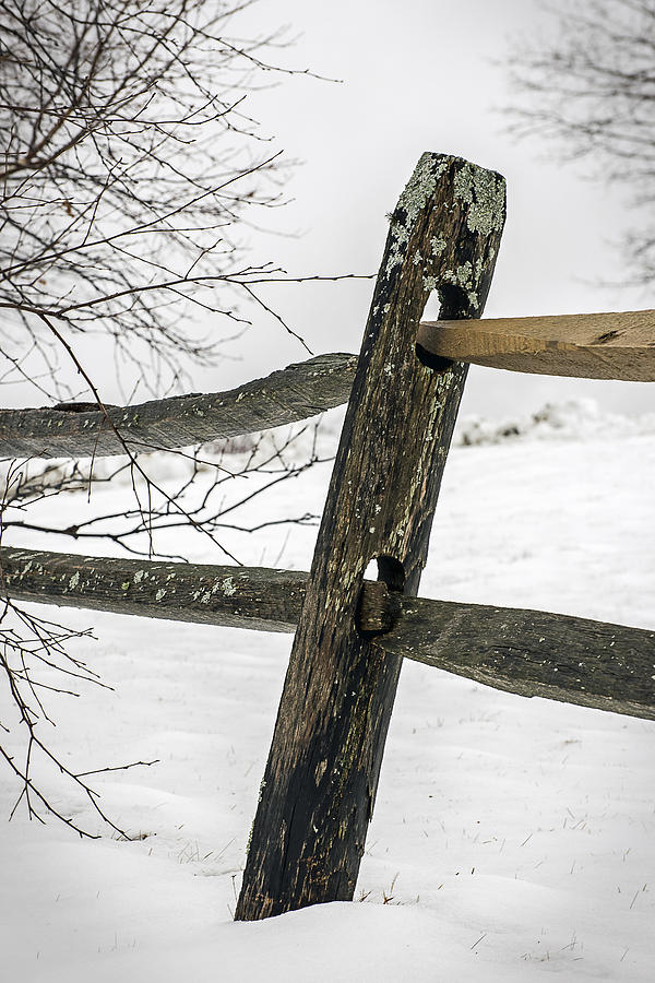 Winter Rail Fence Photograph by Robert Mitchell