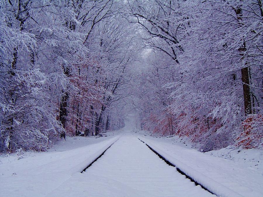 Winter Photograph - Winter Rails by Greg Kear