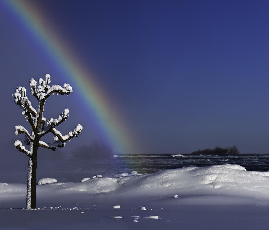 Winter Rainbow at Niagara Falls Photograph by Peter V Quenter