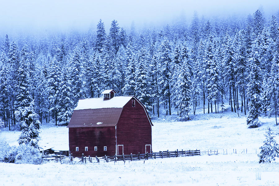 Winter Red Barn Photograph by Mark Kiver