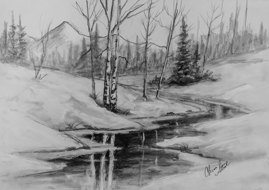 Winter Reflection Drawing by Chris Steele