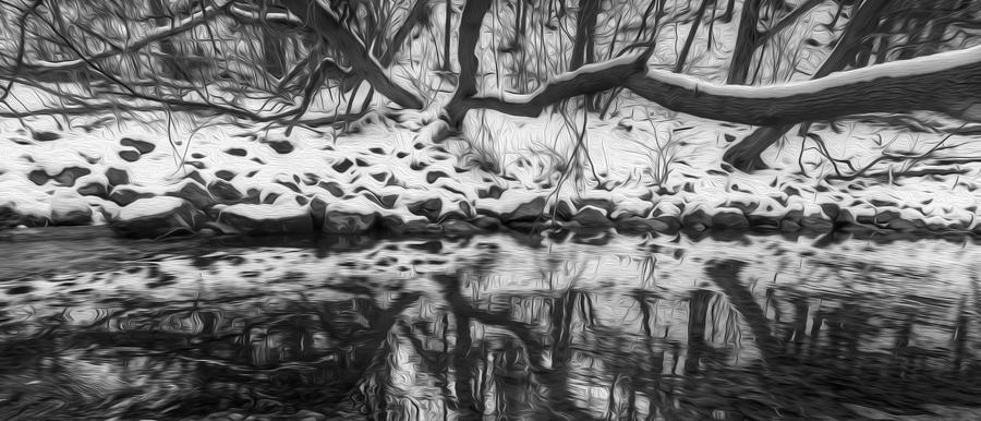 Winter Photograph - Winter Reflection by Claudio Bacinello