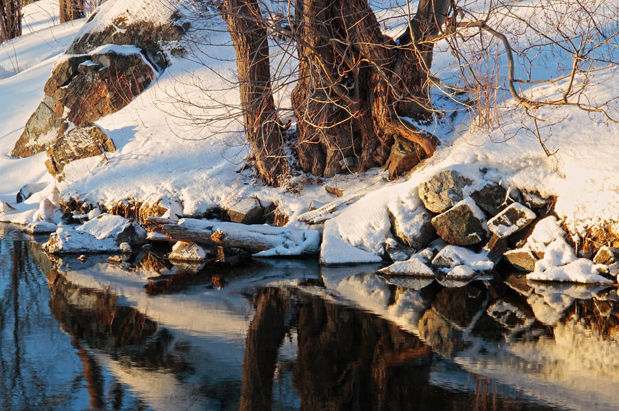 Winter Reflection Photograph by Jim Vance