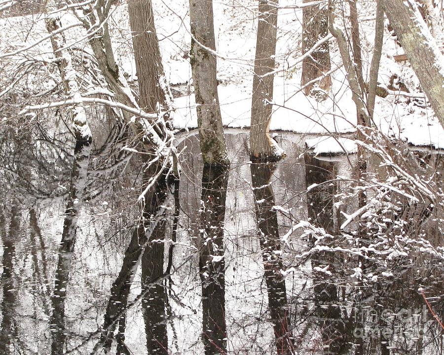 Winter Reflection Photograph by Lili Feinstein