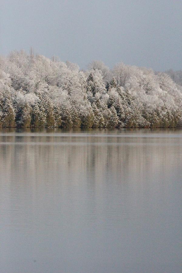 Tree Photograph - Winter Reflection by Sue Chisholm