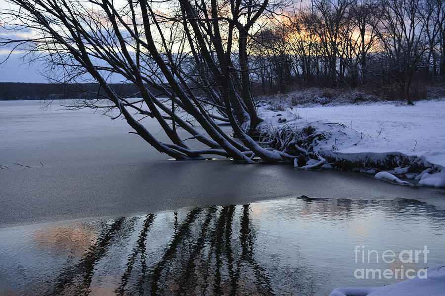 Winter Reflections Photograph by Forest Floor Photography