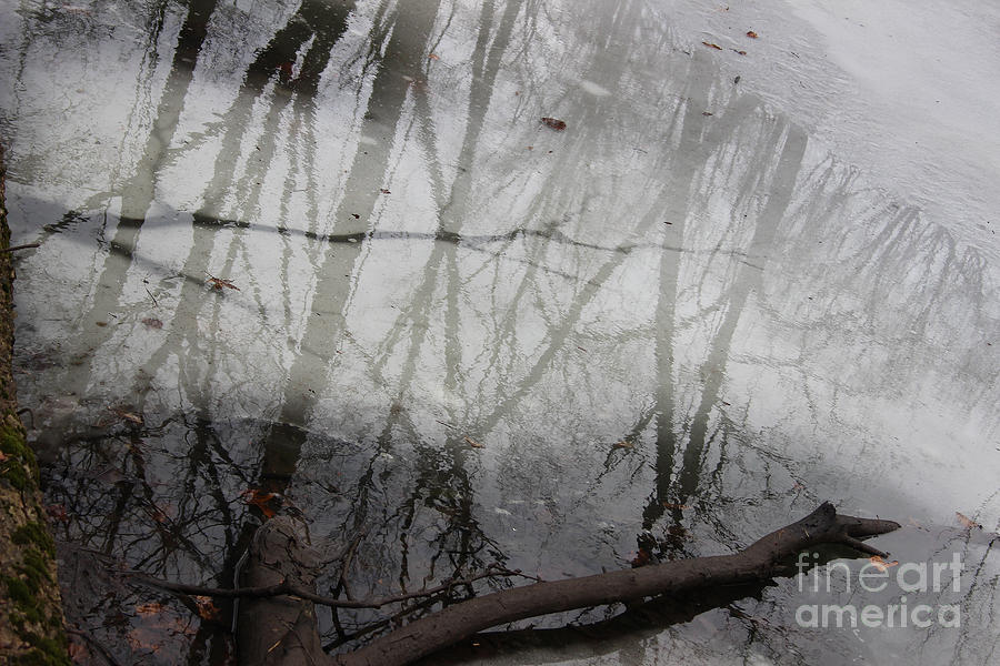 Winter Reflections Photograph by Karen Adams