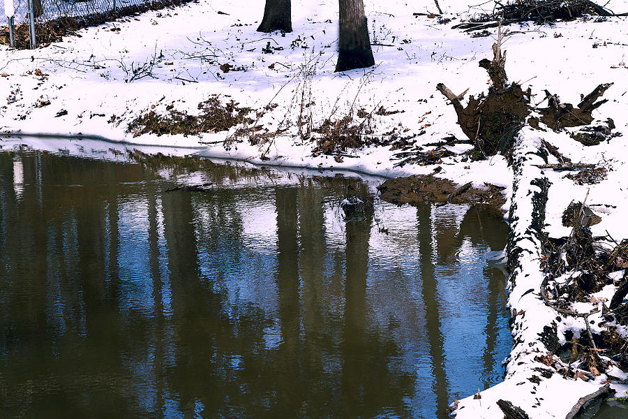 Winter Reflections - Lakeside Winter Landscape Photograph by Barry Jones