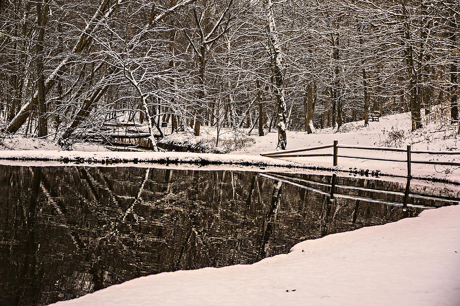Winter Reflections on Whitaker Manor Pond II Photograph by Michael Whitaker