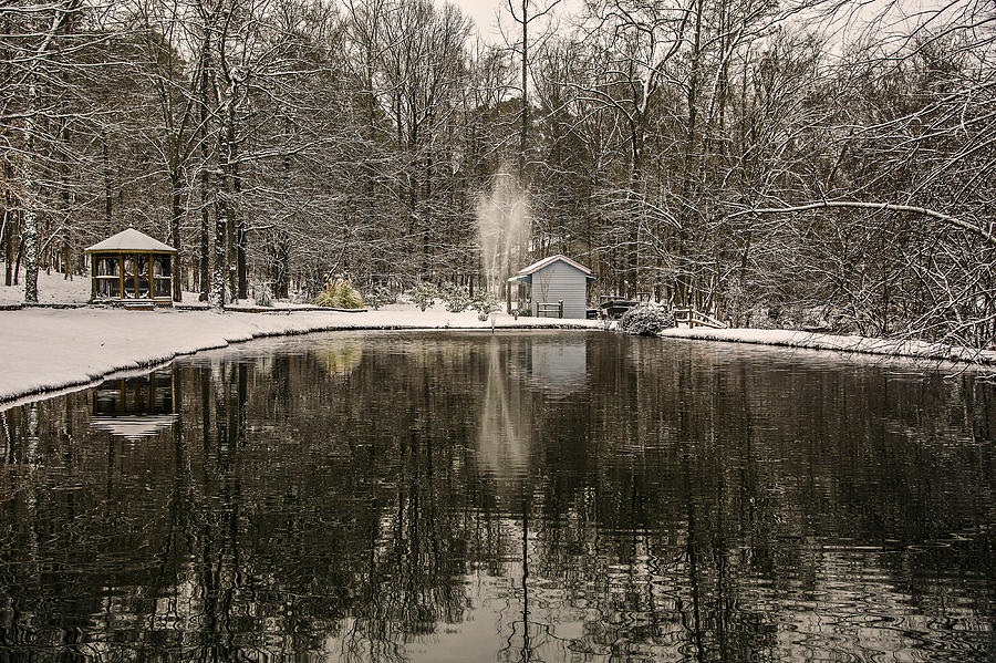 Winter Reflections on Whitaker Manor Pond Photograph by Michael Whitaker