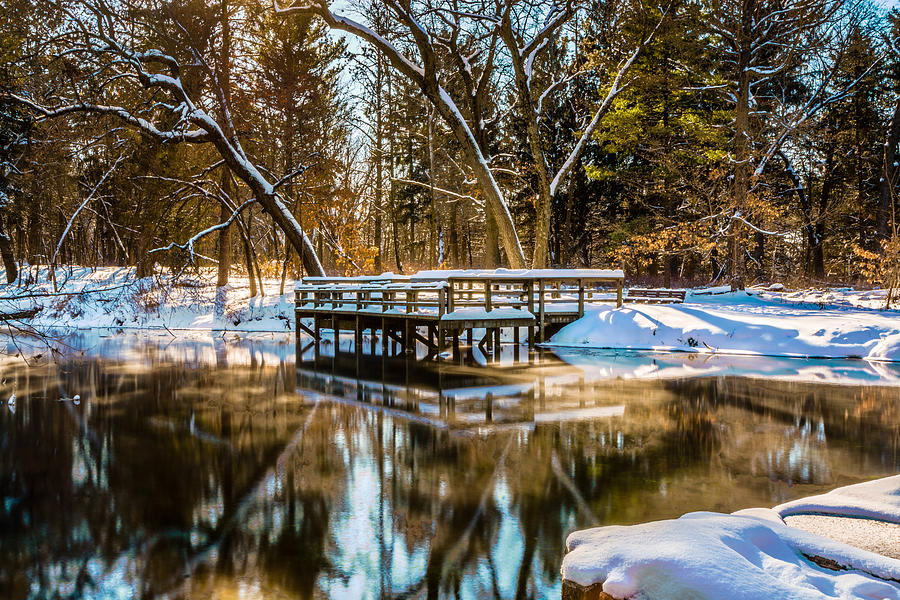 Winter Photograph - Winter Reflections by Randy Scherkenbach