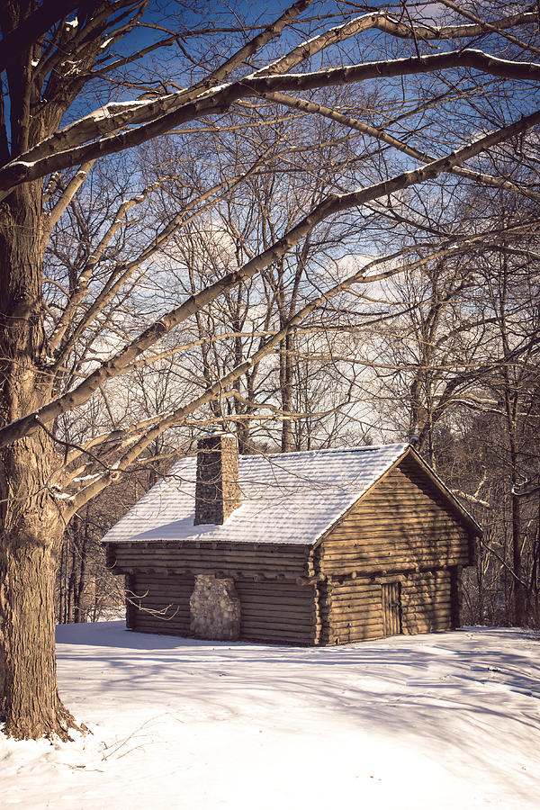 Winter Retreat Photograph by Sara Frank