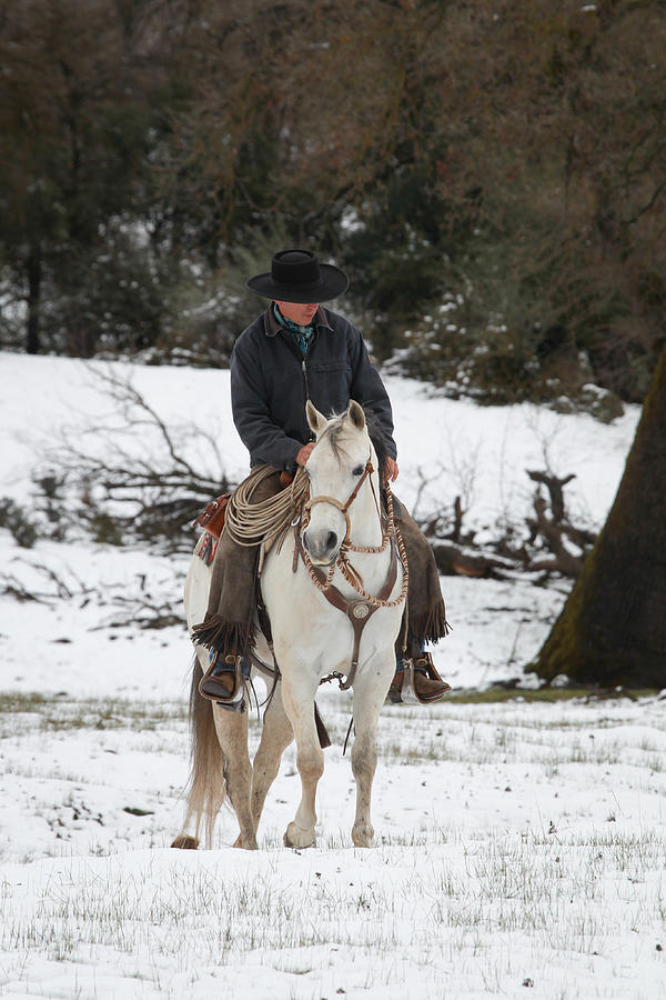 Winter Riding Photograph by Diane Bohna