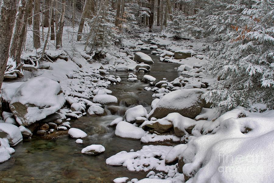 Madonna Photograph - Winter River by Butch Phillips