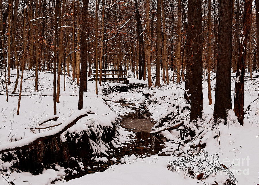Winter River Landscape Photograph by Amy Lucid